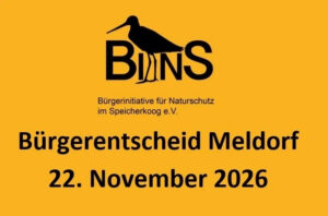 BINS Meldorf: JA! beim Bürgerentscheid zum Speicherkoog am 22.11.2026
