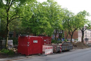 Baumschäden durch Baustelle Hasseldieksdammer Weg in Kiel