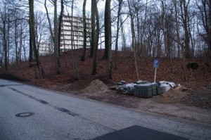Tödlich für den Baum: Baustoffablagerung im Wurzelbereich von Rot-Buchen in Kiel-Düsternbrook