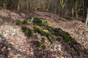 Betonbruch im Blocksdorfer Holz