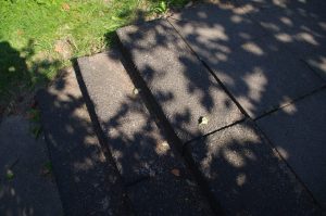 Blockstufen und Gehwegplatten "wandern" wegen fehlender Betonrückenstütze