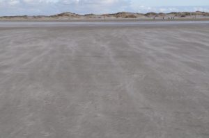 Durch Wind verdrifteter Sand überformt Dünen und Sandbänke beständig weiter