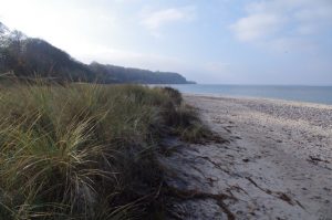 Dünen an der Ostseeküste bei Noer