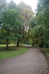 Forstbaumschule - Blick in eine Teilfläche des Parks