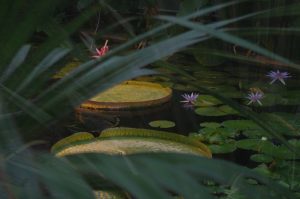 Gewächshäuser Botanischer Garten Kiel - von außen