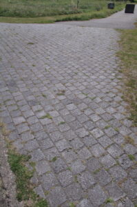 Großplaster aus Schlackesteinen im Stra0ßenverkehr wird besiedelt von Kahlem Bruchkraut, Schafgabe