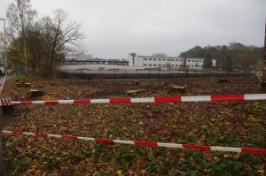 Grünflächenzerstörung in Gaarden: Eichenfällungen in der Elisabethstraße