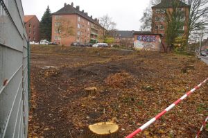 Grünflächenzerstörung in Kiel-Gaarden: Eichenfällungen in der Elisabethstraße