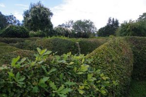 Irrgarten in Probsteierhagen - Blick eines größeren Menschen auf einen Teil der Anlage.