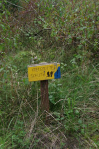 Kreuzotter-Schutz im Meimersdorfer Moor