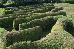 Labyrinth in Probsteierhagen