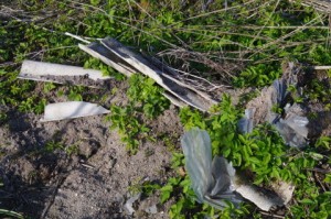 Müll mit Asbestverdacht im Prüner Schlag