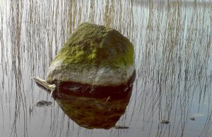 Stein als Wasserstandszeiger im See