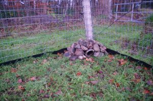 Tierdurchgang in Zaun und Wurzelsperre