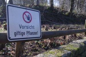 Schild erweckt falschen Eindruck: Nicht jede giftige Pflanze ist ein Kontaktgift. Wildpark Schwentinental.