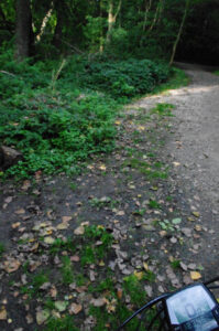 Wanderweg am Russee