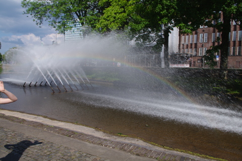 Wasser als formales Designelement - schön, aber tödlich für Kleintiere.