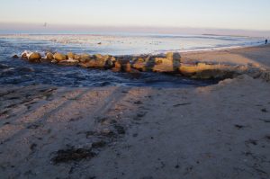 Wasserschaden führt zu Erosion am Strand - den Möwen gefällt es