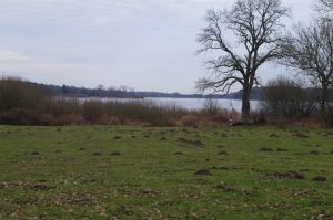 Westensee - von Ekhöft aus fotografiert