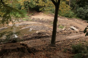 Kiel-Gaarden Park zum Brook: Teichanlage behindert Mäandrierung