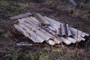 Offene Lagerung von asbesthaltigen Abfällen im Prüner Schlag in Kiel in Verantwortung der Unternehmen von Kurt Krieger.  *Ein* Beispiel von Umweltverstößen.